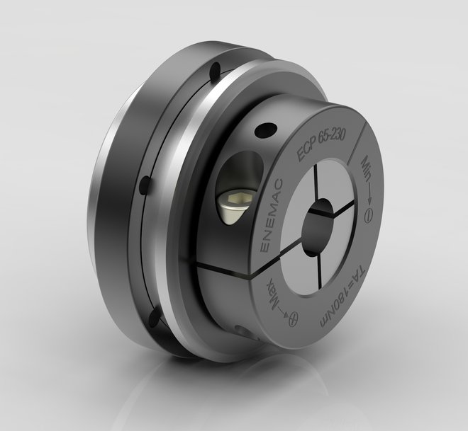 TORQUE LIMITER ECP FOR INDIRECT DRIVES WITH INTEGRATED BALL BEARING